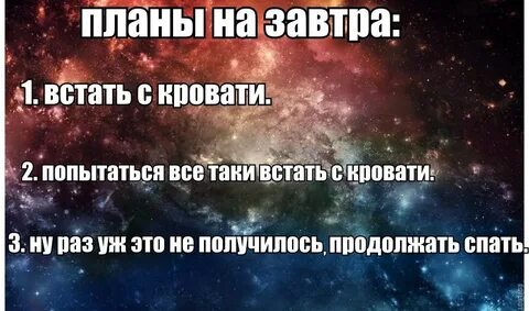 Какие планы сегодня день