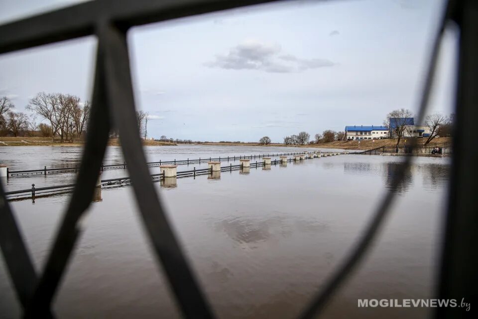 Уровень воды в днепре могилев сегодня. Весеннее наводнение реки Днепр. Уровень воды в реке СОЖ. Днепр разлился в Могилеве 2023. Днепр разлился.