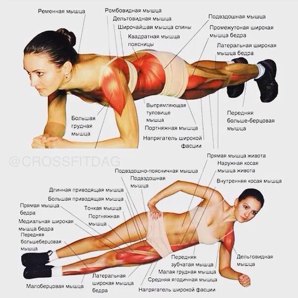 Упражнения для укрепления боковых мышц спины. Упражнения для укрепления мышц живота и спины. Упражнения для мускулатуры спины. Мышцы спины упражнения для женщин.