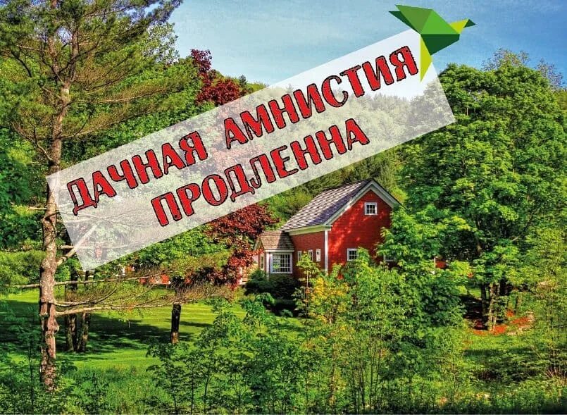 Как оформить землю по амнистии