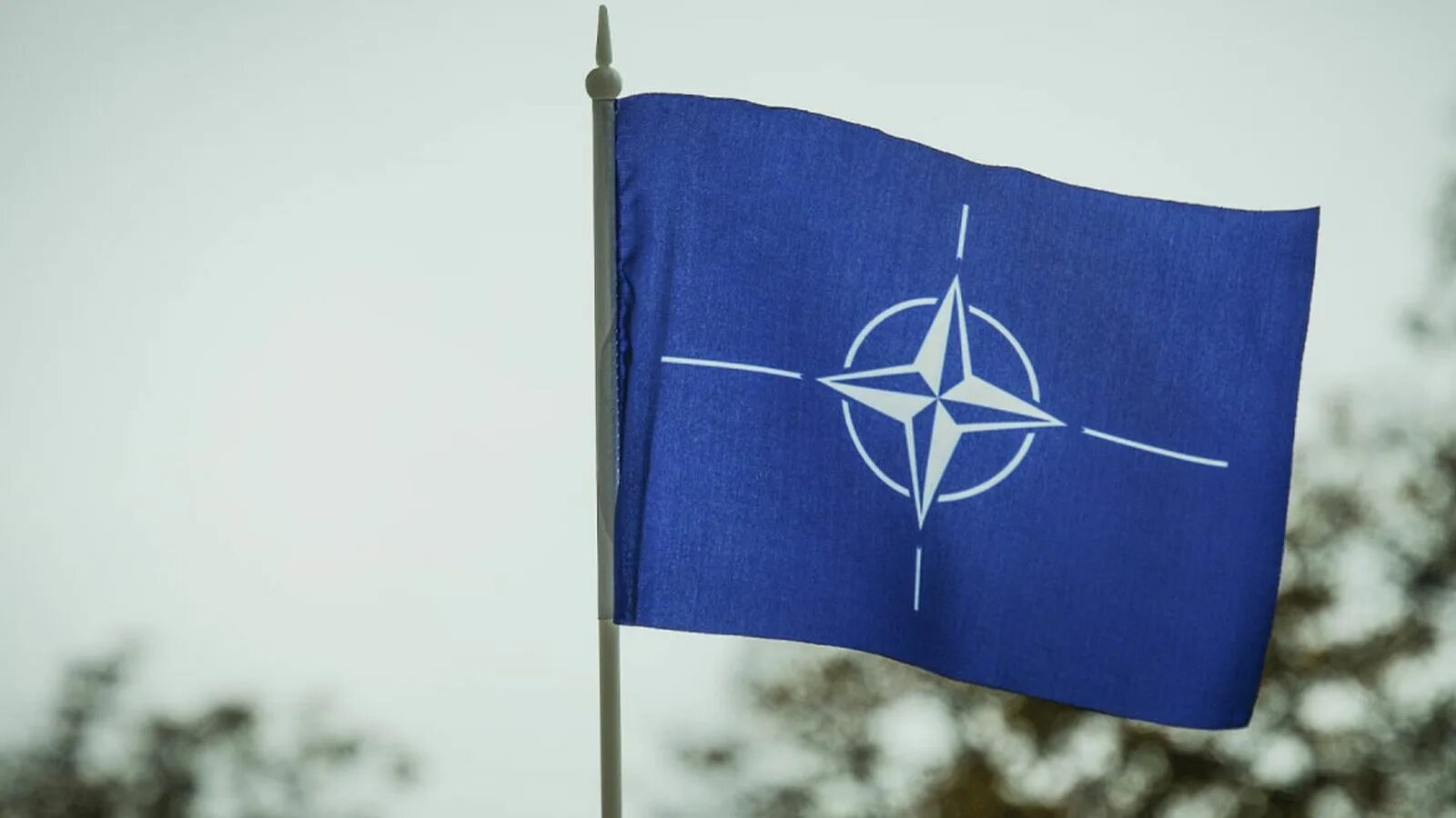 Нато тест. NATO флаг. Флаг Североатлантического Альянса. Североатлантический Альянс НАТО флаг. Флаг НАТО 1949.