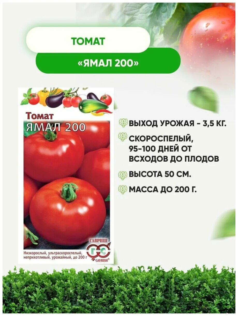 Томат ямал урожайность. Семена томат "Ямал-200". Томат Ямал 200. Томат Ямал фото.