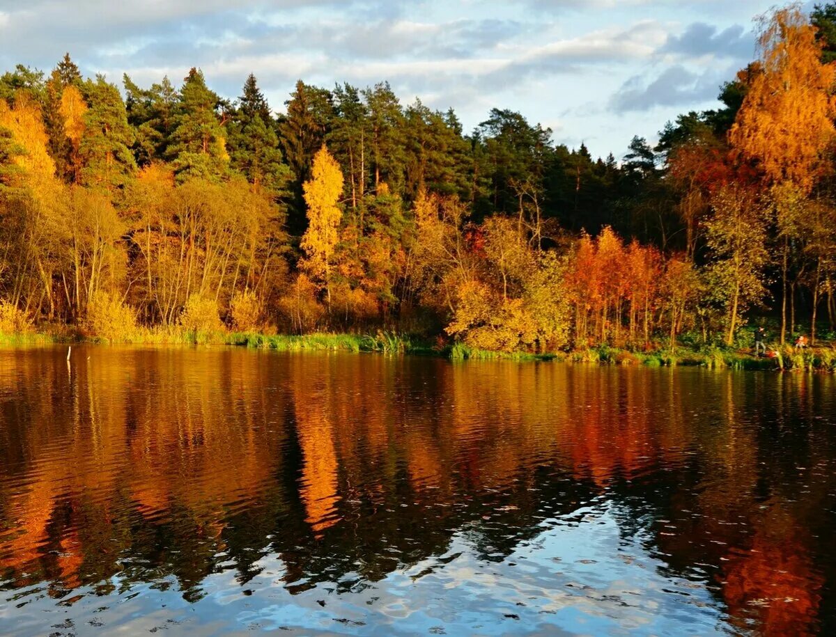 Какая природа в московской области. Николина гора река осень. Кратово озеро осенью. Клязьма Солнечногорск. Лето лес Подмосковье река Клязьма Наволокин.