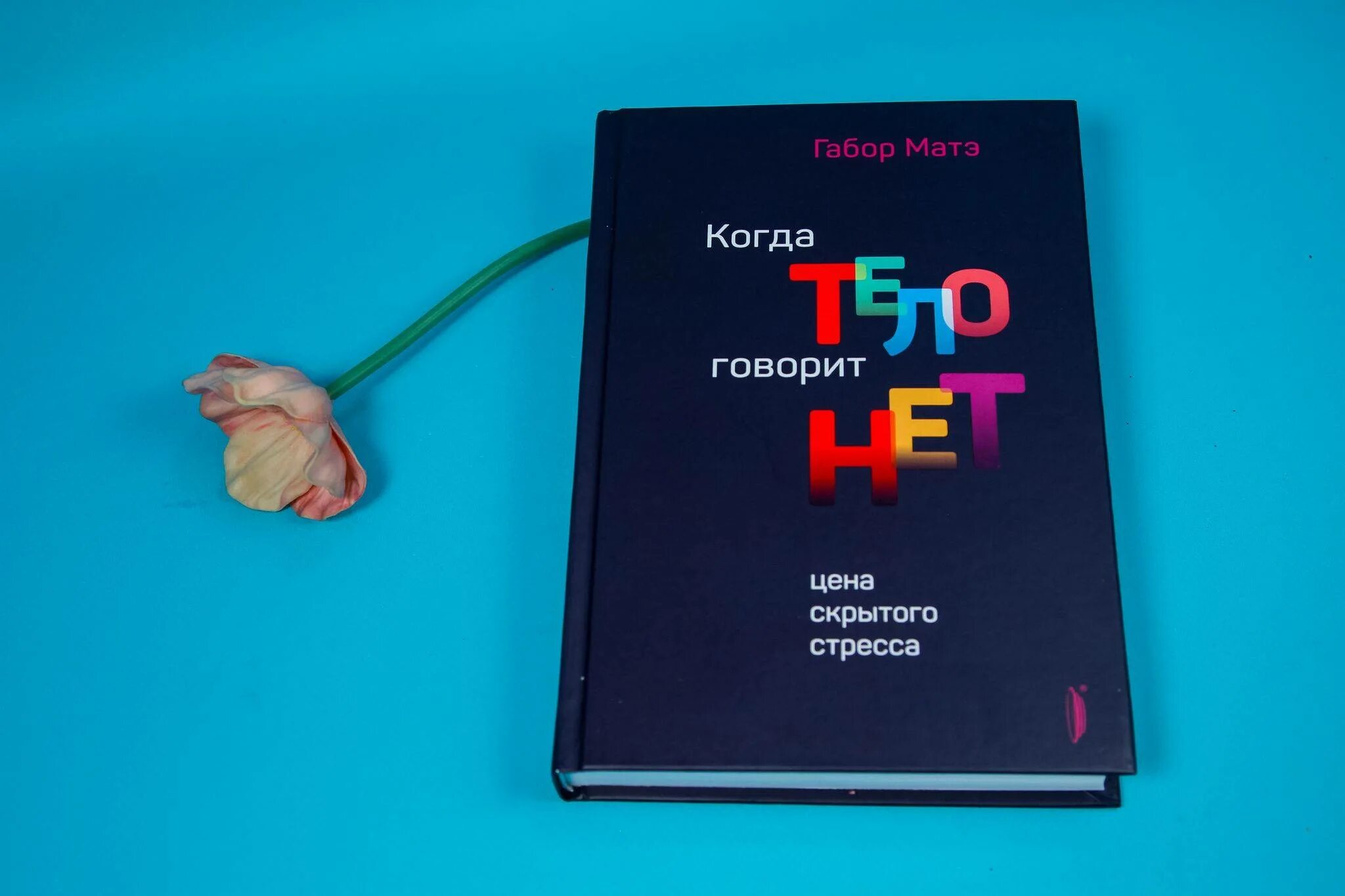 Когда тело говорит нет габор матэ. Книга рассеянные умы. Габор матэ книги. «не упускайте своих детей» гордона ньюфелда. В царстве голодных призраков книга.