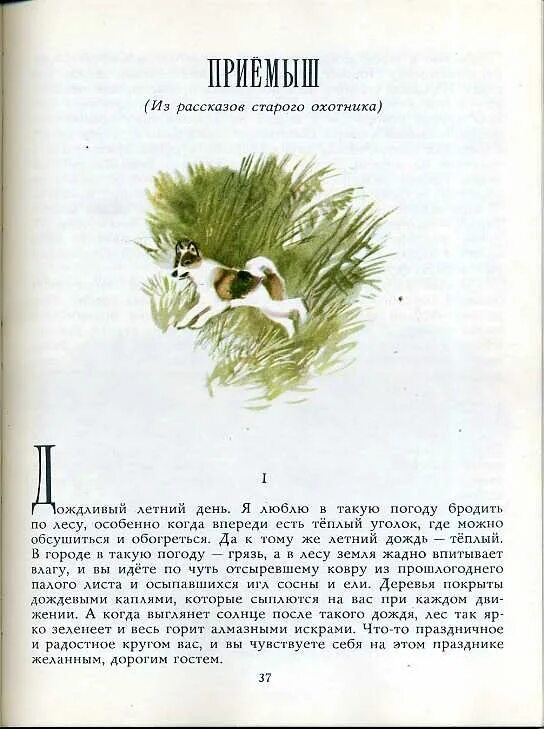 Монолог приемыш. Д. н. мамин-сибиряк «рассказы старого охотника». характеристика тараса из приемыша. произведения мамина сибиряка про ежей. характеристика тараса из рассказа приемыш.