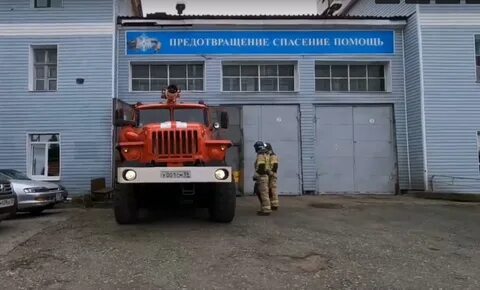 Березники губаха