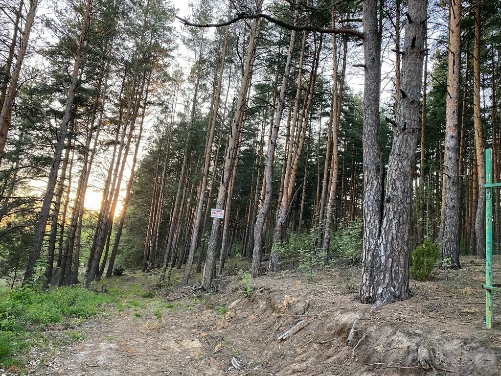 Тургенева 33 а дом. Землефонд33. Землефонд33. Удобрение 33 богатыря башинком. Влагомер кварц 21м.