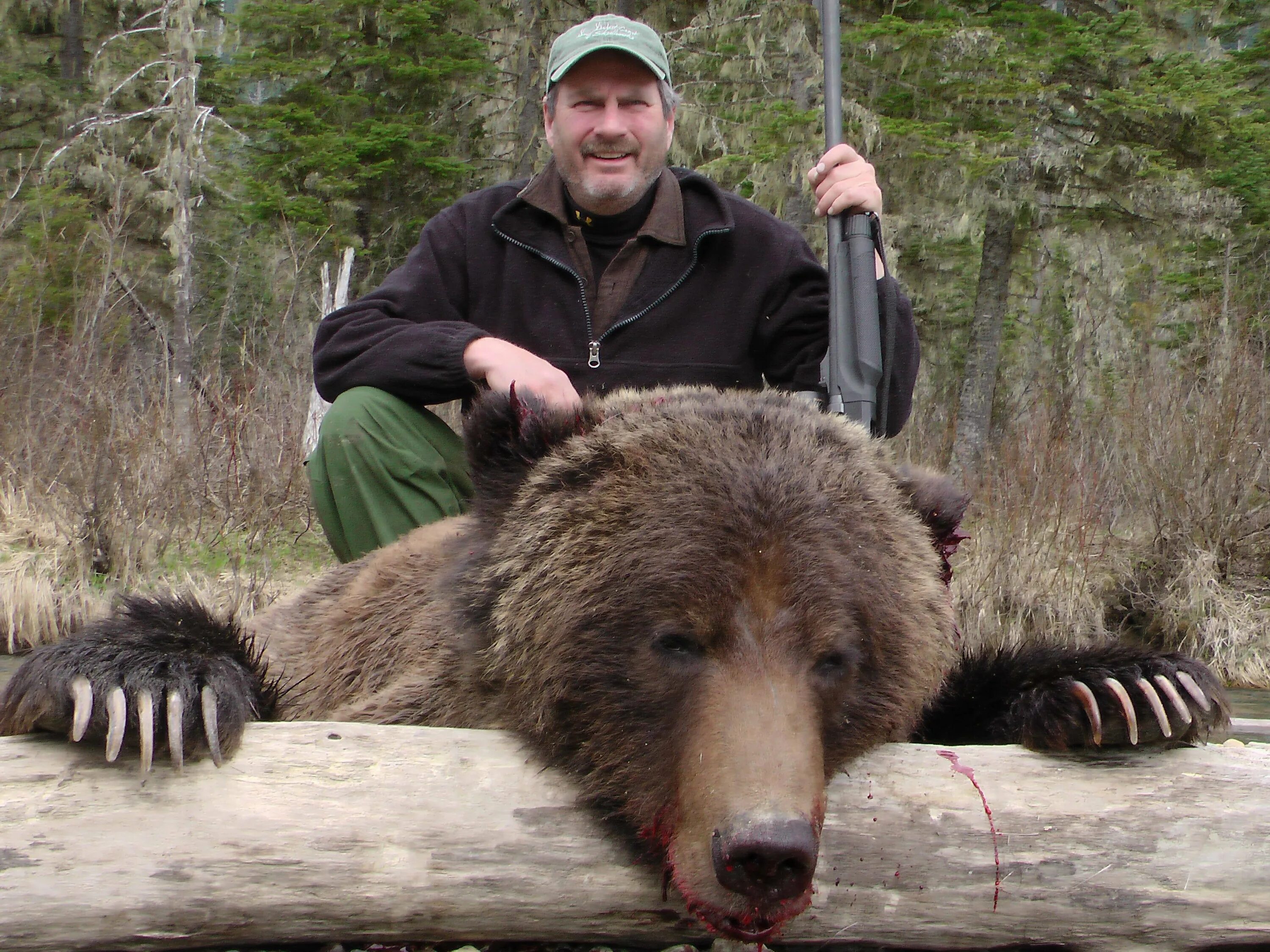 Какие медведи крупнее. Самый большой медведь Гризли. Медведь Кадьяк самый большой в мире. Самый большой бурый медведь в мире. Гигантский медведь людоед Гризли.