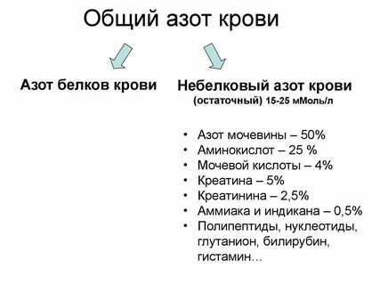 Азот компонент