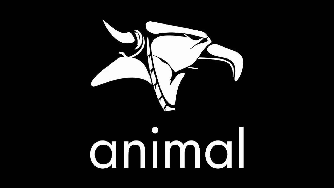 Animal bikes. Энимал бмх. Энимал бмх лого. Наклейка animal BMX.