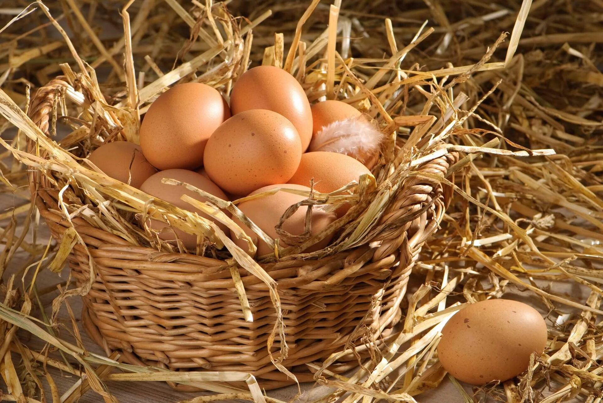 К чему снятся куру и яйца. Домашние яйца. Корзинка с яйцами. Яйцо куриное. Яйцо домашнее куриное.