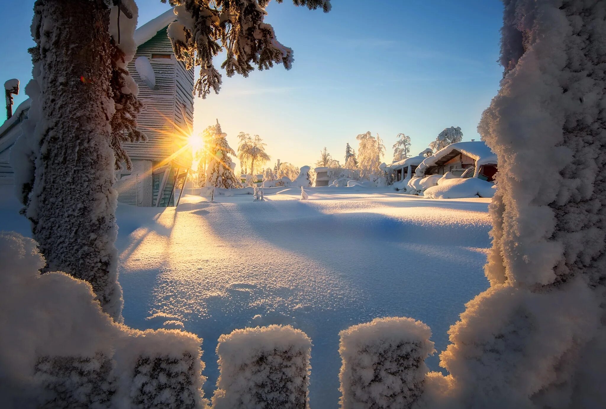 Солнечный день январь. Красивая зима. Зимняя природа. Зима пейзаж. Зимнее утро.