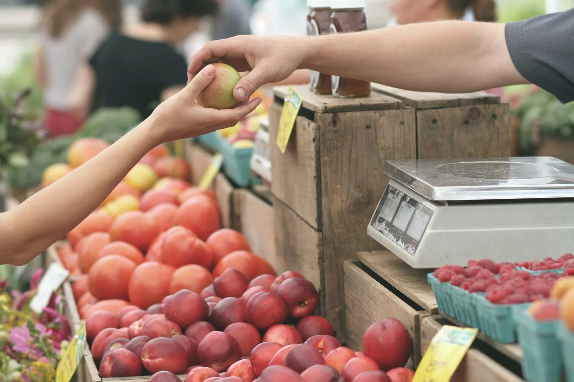 Купленные на рынке овощи. Фрукты на рынке. Ярмарка овощей и фруктов. Покупатель яблок. Яблоки на рынке.