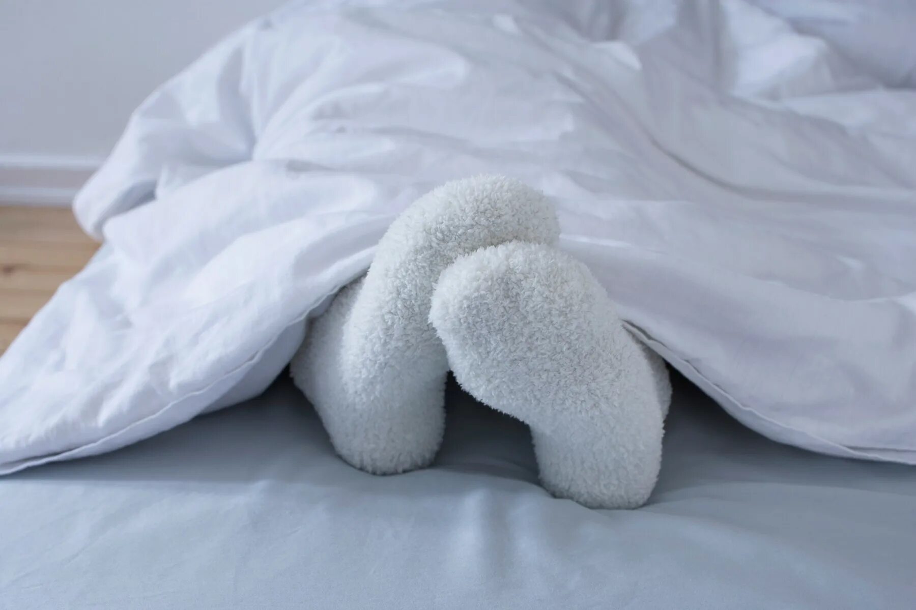 Можно спать в носках. Спать в носках. В носках под одеялом. Носки из под одеяла. Холодно одеяло.