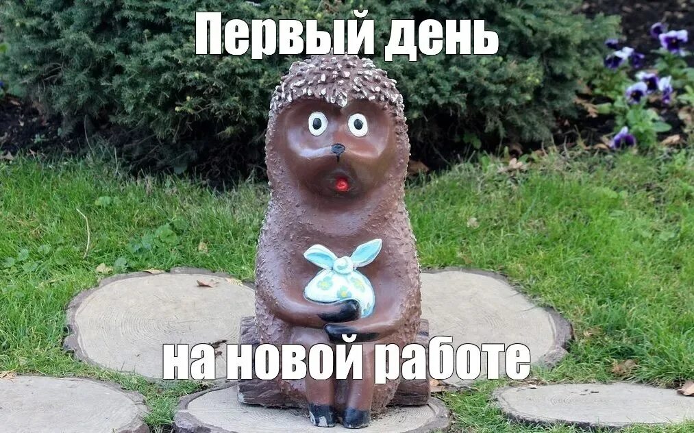 Канал на новом месте. Пожелание с новым рабочим местом. Канал на новом месте. Открытка успехов на новой работе. Канал на новом месте.