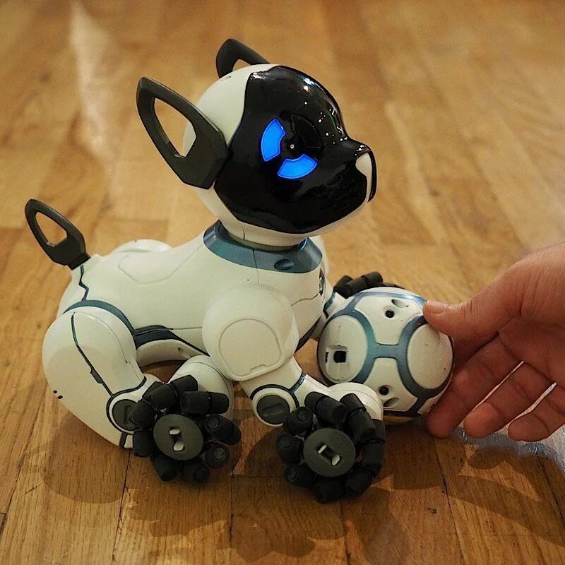 Робот собака чип. Робопес чип. wowwee chip. робопес робот. робот пёс чип.