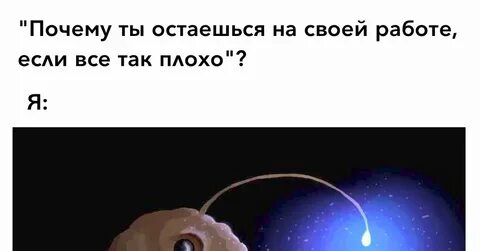 Вы просто не понимаете