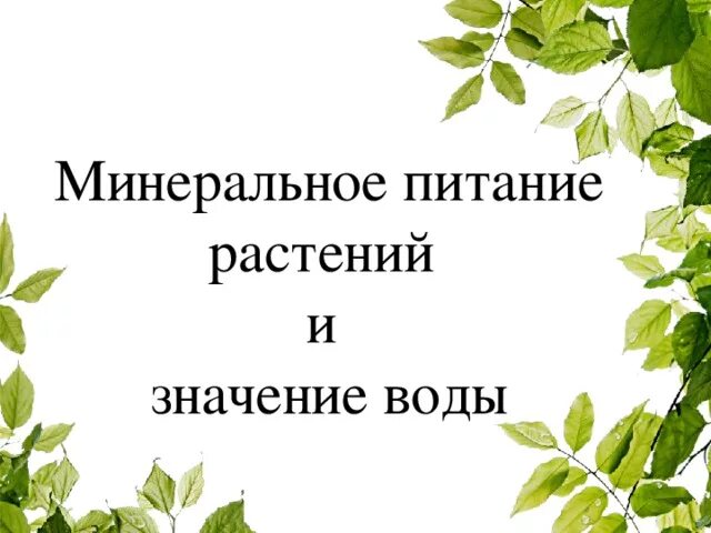 Минеральное питание растений. Питание растений 6 класс биология. Минеральное питание растений и значение воды. Значение минерального питания для растения. Тест по теме минеральное питание