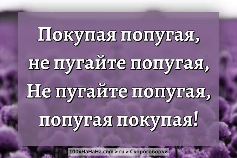 Покупая попугая не пугайте. Попугая покупая не пугайте скороговорка. Скороговорка про попугая. Скороговорка попугаю. Попугай попугаю скороговорка