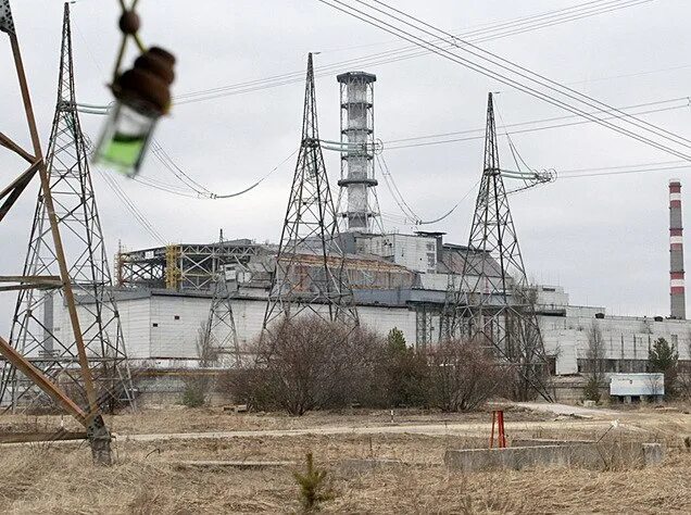 Почему в чернобыле биологическое разнообразие выросло