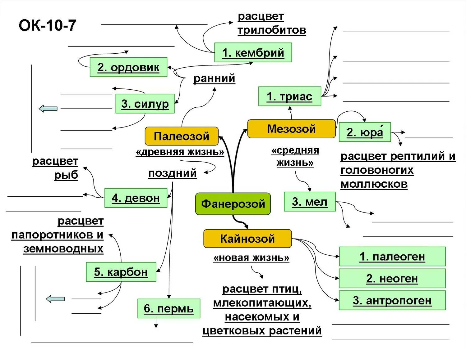 Опорные конспекты по биологии 10-11 класс. Этапы развития жизни на земле" rkfcnth. Опорные конспекты по биологии. Эволюция опорный конспект.