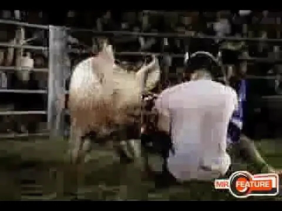 Pig riding