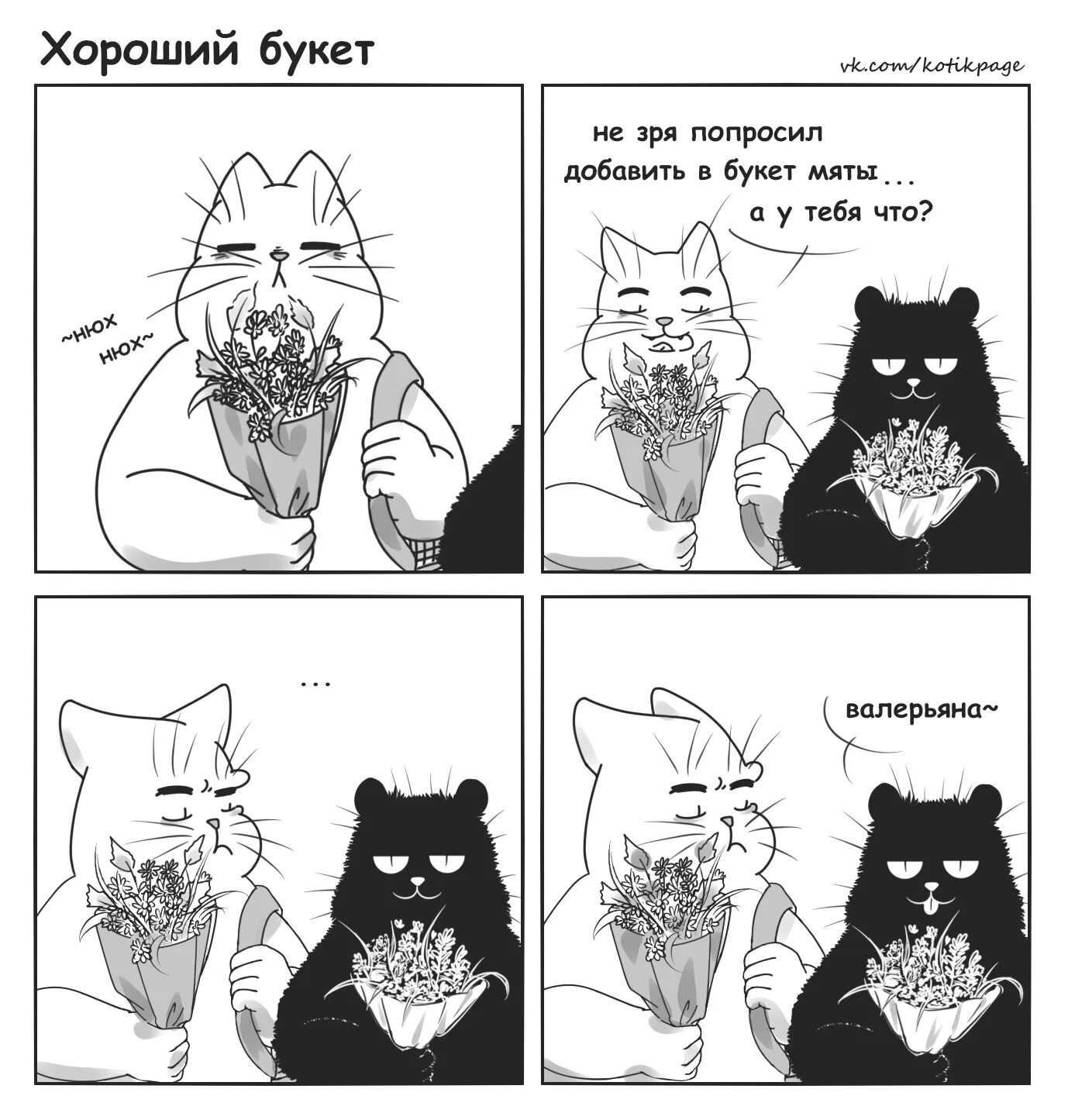 А мы с ним пахнем кошачьей мятой. Мемы про котов и мяту. Кошачья мята Мем. Мемы с котами и мятой. Кот с кошачьей мятой Мем.