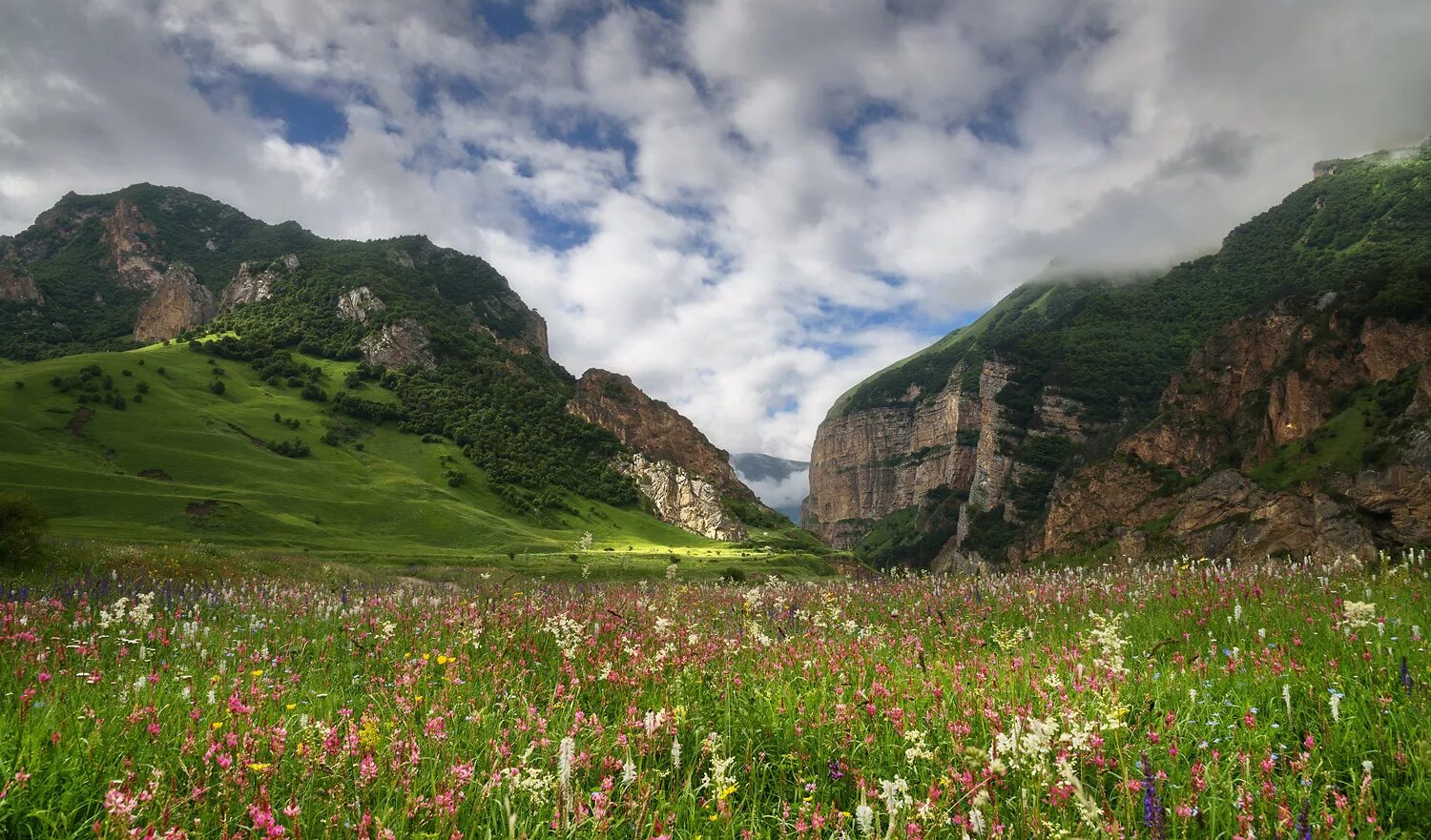 Северный кавказ кбр. Чегемское ущелье кабардино балкария. Национальный парк приэльбрусье кабардино-балкария нальчик. Чегемское ущелье кабардино балкария. Адыл су приэльбрусье.