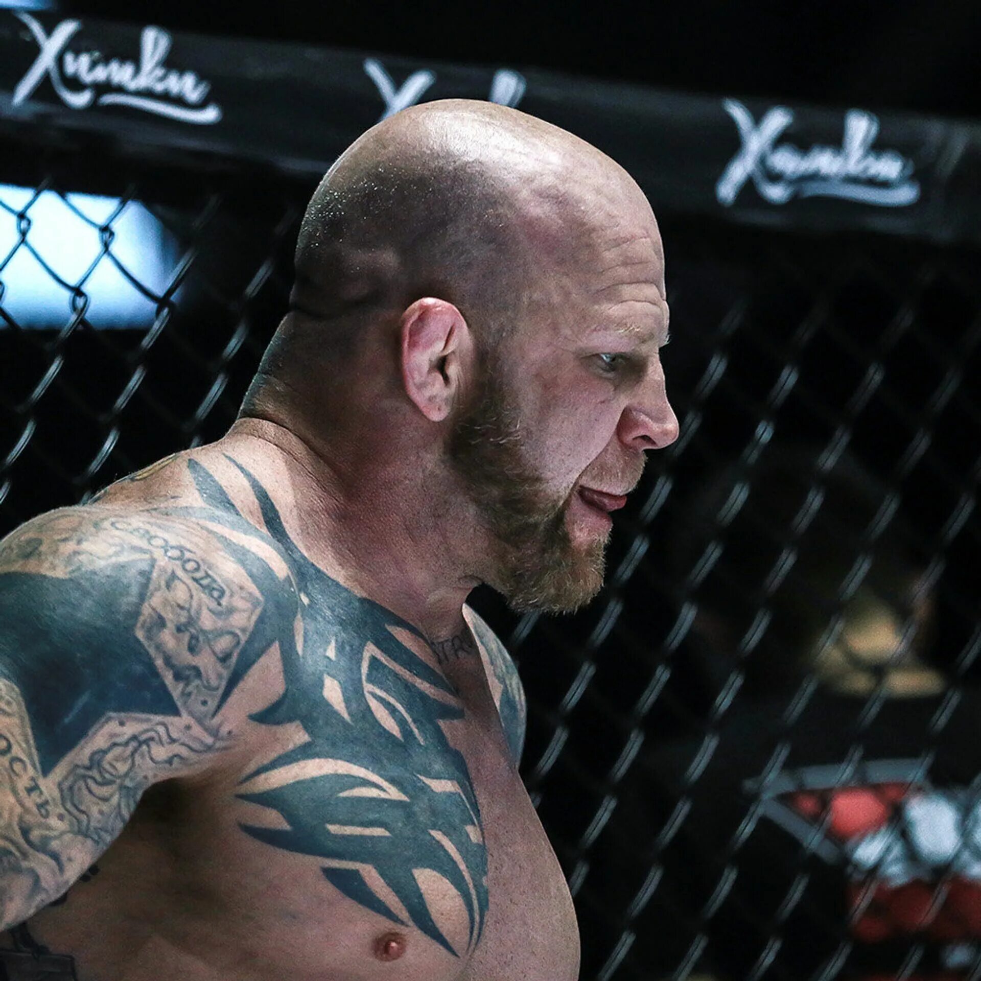 известные бойцы. сен-пьер боец. джефф монсон депутат красногорска. джефф монсон. известные бойцы.