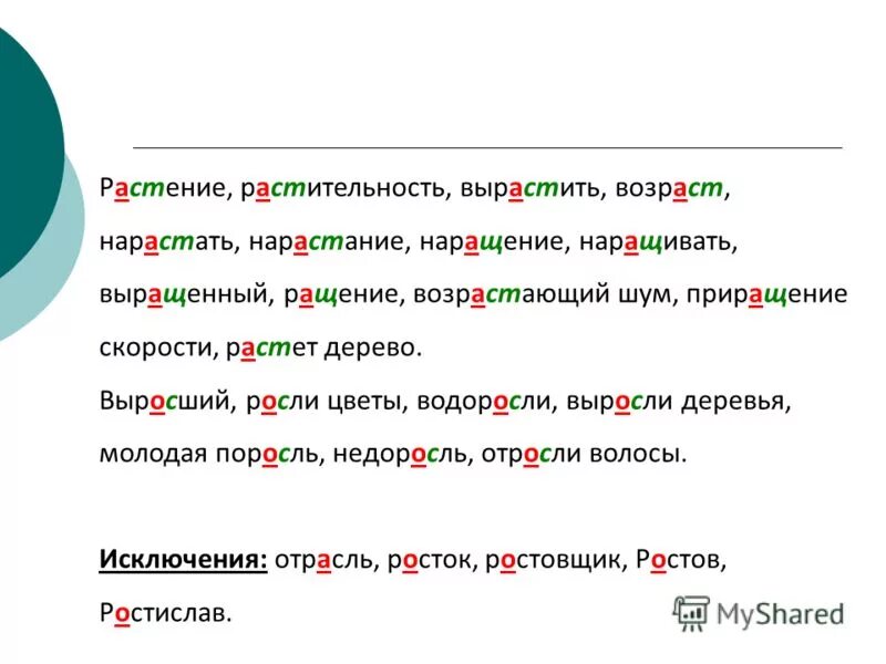 выращенный возраст вырос