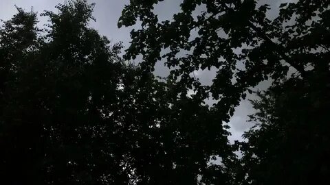 Небо в сплошную заволокло тучами сверкнула молния
