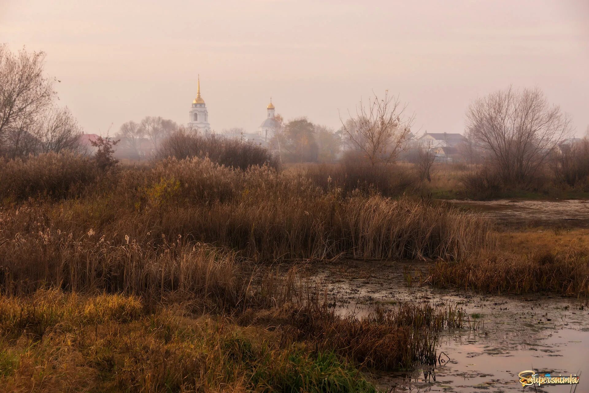 коттеджный поселок воронеж боровое. боровое воронежская. пляж чертовицы воронеж. жк боровое воронеж. торговый центр боровое воронеж.