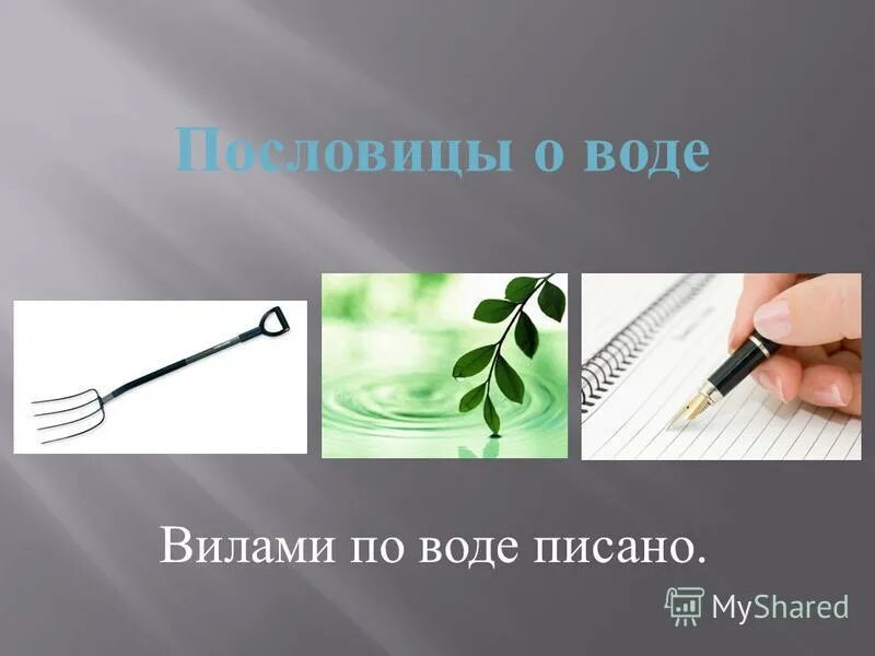 Вилами по воде писано предложение. Вилами по воде. Вилами по воде писано. Пословица вилами на воде писано.