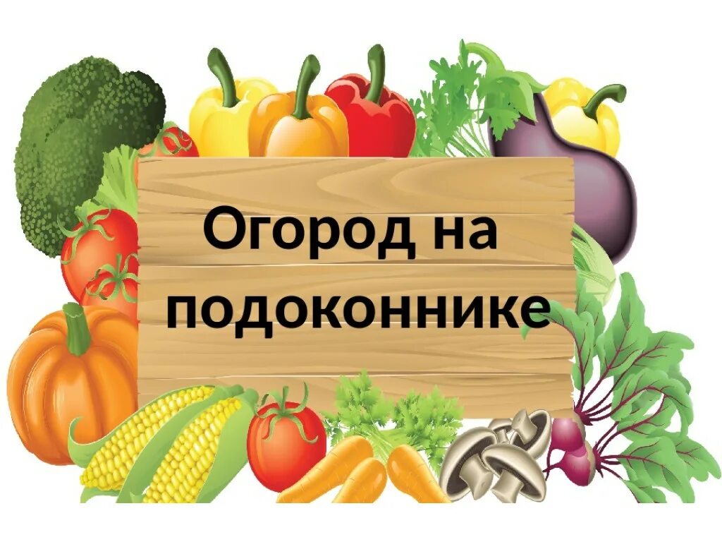 Огород на подоконнике надпись. Вывески для огорода на окне в детском саду. Таблички для огорода в детском саду. Огород на подоконнике в детском саду надпись. Огород на окошке в детском саду.