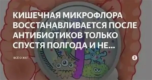 Для восстановления микрофлоры кишечника. Восстановление кишечника. Для кишечной Флоры после антибиотиков. Восстановление микрофлоры после антибиотиков.