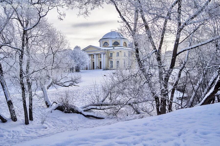 Зимний день усадьба стояла. Усадьба воронино. Парк александрино санкт-петербург зимой. Текст усадьба. Усадьба абрамцево серов.