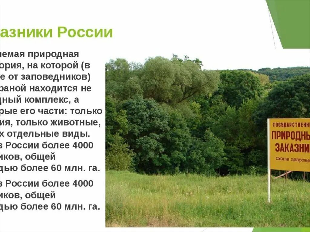 Особо охраняемых природных территорий расположенных. Заповедник особо охраняемая природная территория. особо охраняемые природные территории заказники. заказник охраняемая территория. заказники презентация.