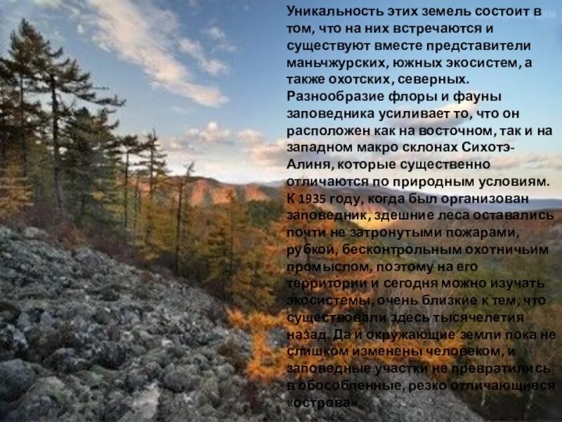 Тип климата сихотэ алинь. Сихотэ-алинский заповедник. 5. центральный сихотэ-алинь. оопт центральный сихотэ-алинь.