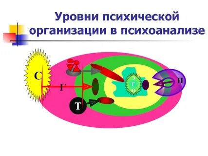 Психическая организация человека
