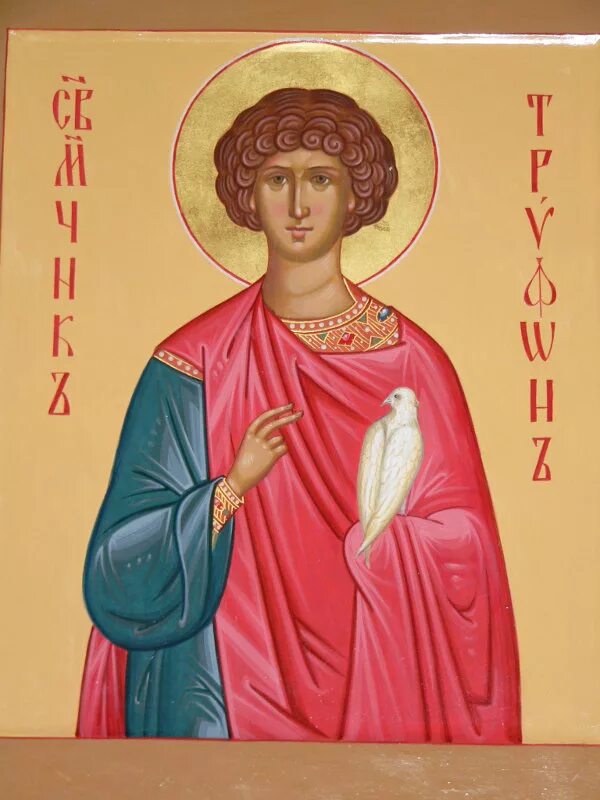 Икона Святого мученика Трифона Апамейского. Икона св муч. Трифона мученика.