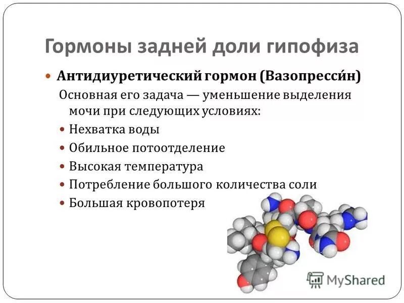 Гормоны гипофиза анализы. Химическая природа гормона вазопрессина. Вазопрессин гормон функции. Гормоны задней доли гипофиза нейрогормоны. Роль антидиуретического гормона.