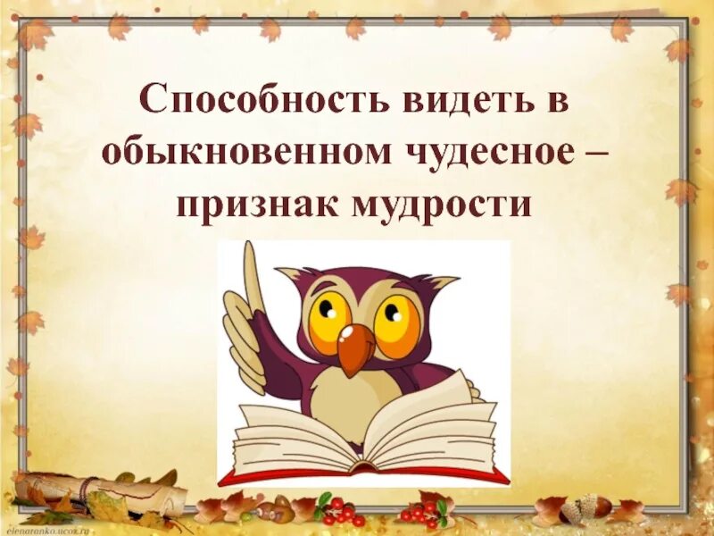 Способности мудрого. Признак мудрости. Умение видеть. Способность видеть. Способность видеть чудесное в обыденном.