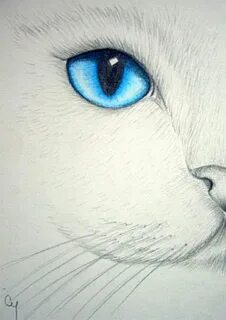 Как нарисовать глазки котенку