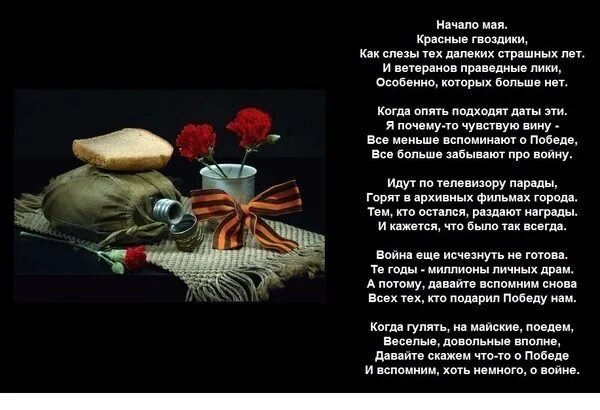 Красные гвоздики стихи. Красные гвоздики стихи. Гвоздика 9 мая. Красная гвоздика цветок. Что символизирует красная гвоздика.