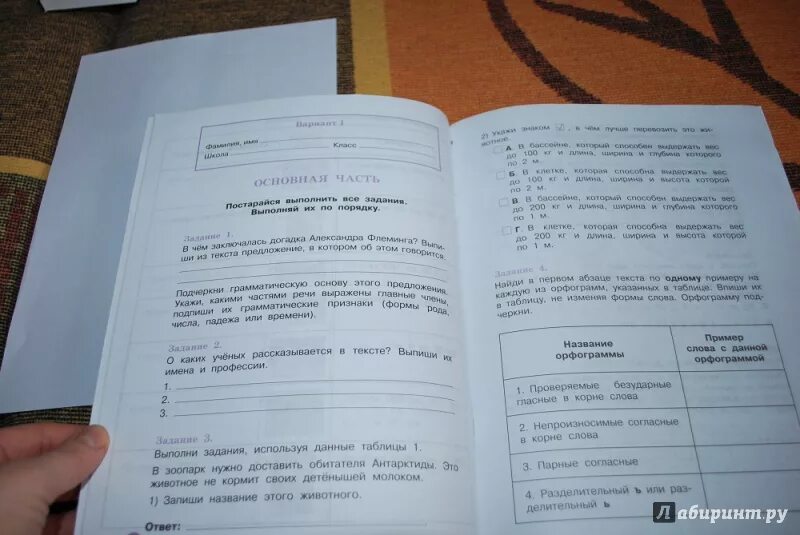 Итоговые комплексные работы перспектива. Комплексная работа 4 класс. Ответы на итоговые комплексные работы. Логинова комплексная работа 3 класс. Жаба ага итоговая комплексная.