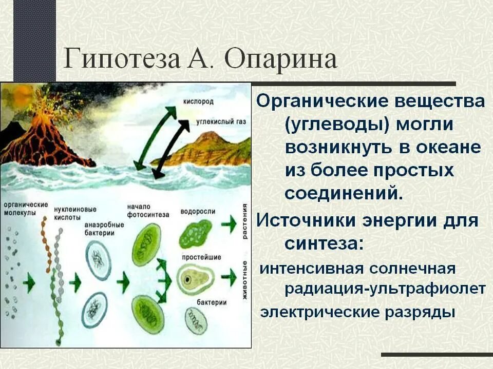 Биохимическая эволюция этапы возникновения жизни. Теория Опарина этапы. Гипотеза возникновения жизни на земле Опарина. Гипотеза Опарина о происхождении жизни на земле. А И Опарин гипотеза о происхождении жизни на земле.