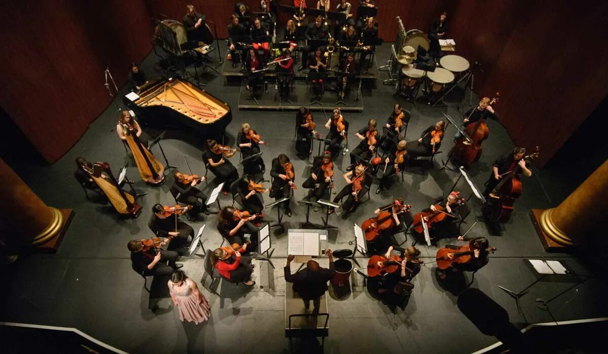 Orchestra performance
