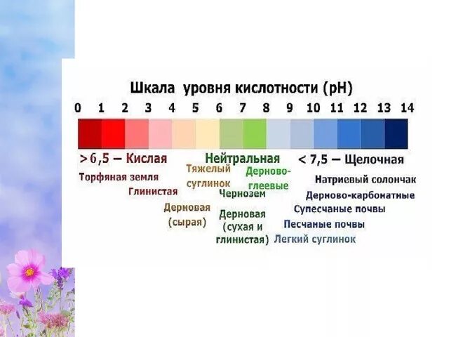 Группы кислотности. Шкала PH почвы кислотности почвы. Кислотность почвы таблица PH. Шкала кислотности PH воды. Кислотность почвы шкала кислотности.