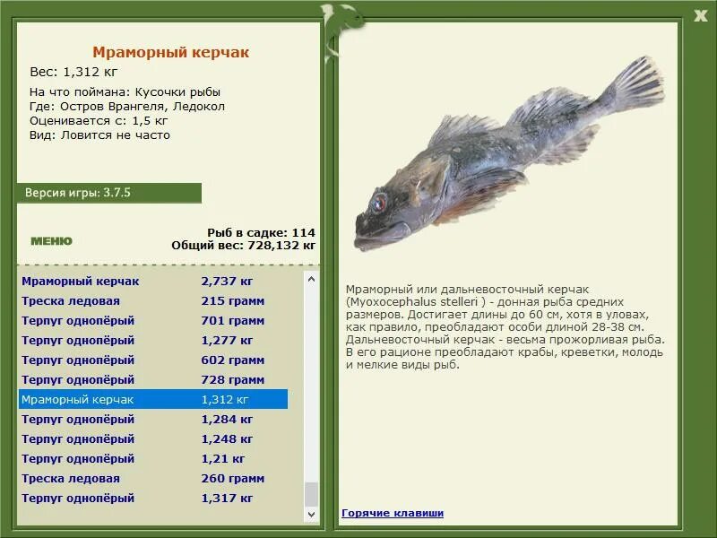 Планирование средняя рыбы