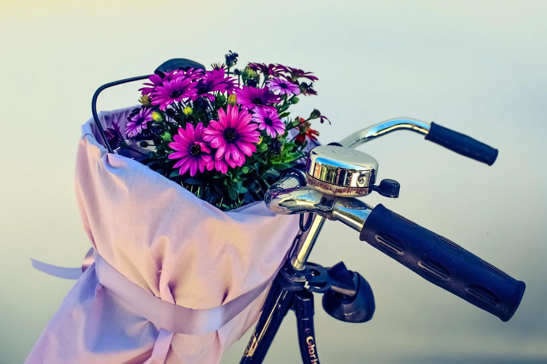 Велосипед в цветах зеленый. Велосипед цветы. Велосипед с цветами. Велосипед с полевыми цветами.